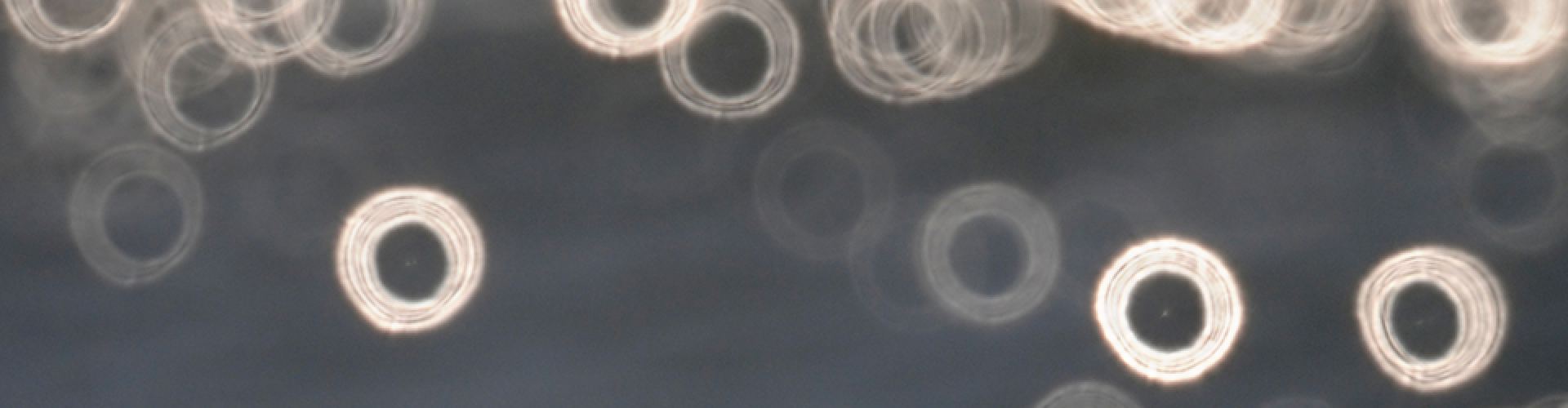 dark gray background with circles of white lights