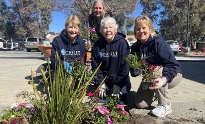New Life Gardeners