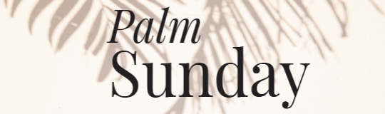 Psalm Sunday Sermon Banner